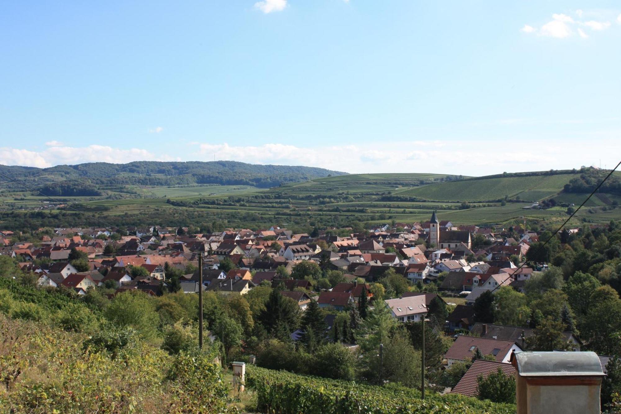 Ferienwohnung Burger Sasbach am Kaiserstuhl Ngoại thất bức ảnh
