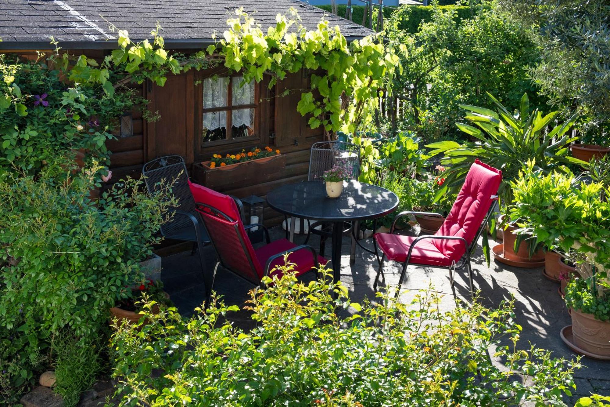 Ferienwohnung Burger Sasbach am Kaiserstuhl Ngoại thất bức ảnh