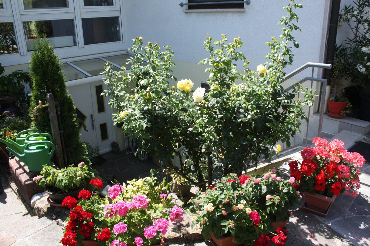 Ferienwohnung Burger Sasbach am Kaiserstuhl Ngoại thất bức ảnh